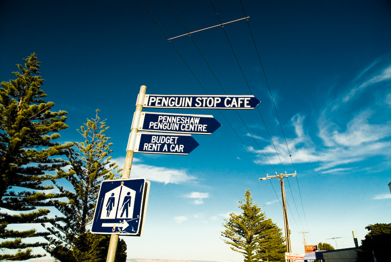 Penguin Stop Cafe